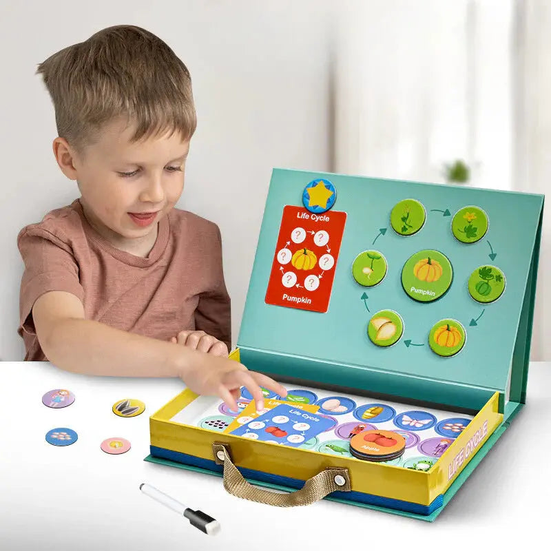 Life Cycle – Learn More in a Fun Way My Store