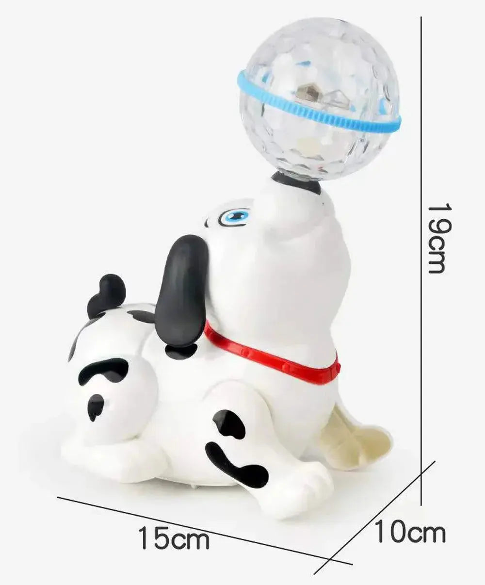 Dancing Paws My Store