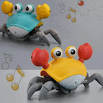 Crab Racer – Encourages your child's crawling – Interactive toy My Store