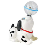 Dancing Paws My Store