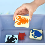 AquaFairy - Water Jelly Creative Set My Store