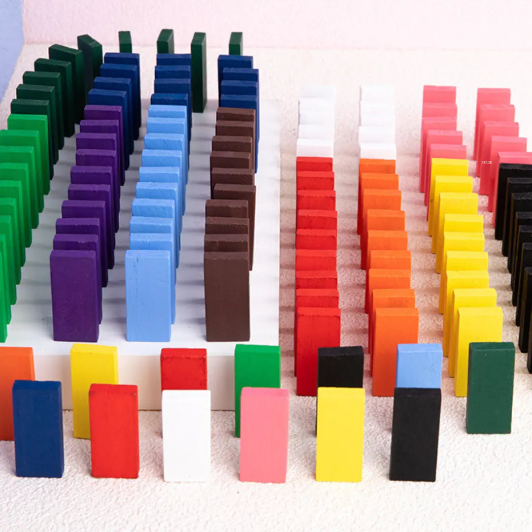 Montessori Wooden Domino Stones My Store