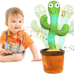 Groovy Cactus My Store