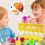 Montessori Shapes and Colours Eggs My Store