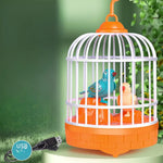 Talking Birds in Cage Children's Toy My Store