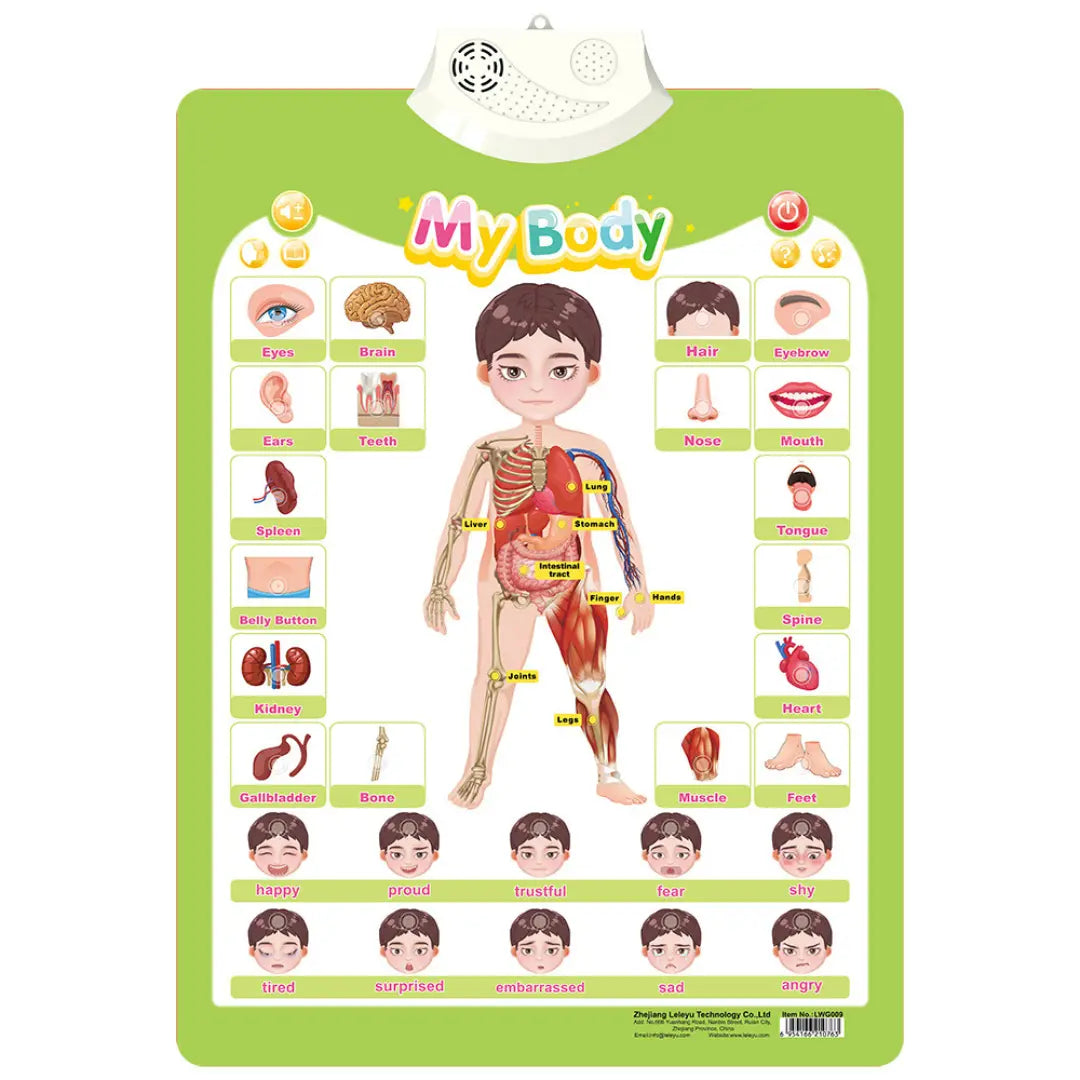 Talking Sound Board for Learning English for Children My Store