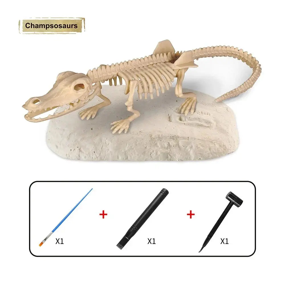 Excavate the Fossil - Digging Set My Store