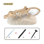 Excavate the Fossil - Digging Set My Store