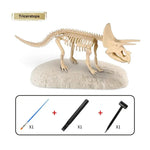 Excavate the Fossil - Digging Set My Store