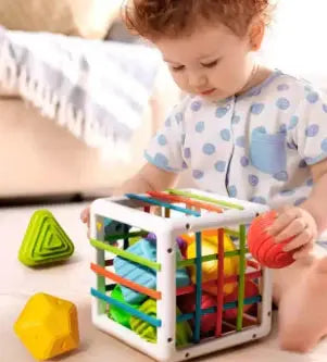 Learning Cube - Sorting Blocks My Store