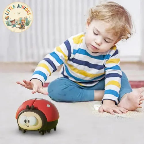 Ladybird Balloon Toy for Babies My Store
