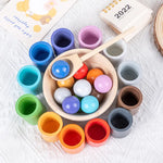 Montessori Sorting and Colour Recognition Wooden Set My Store