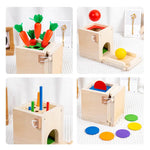 Montessori Wooden Play Box with Various Tasks and Solutions My Store