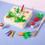 Montessori Learning and Developmental Wooden Toy My Store