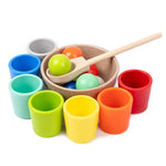 Montessori Sorting and Colour Recognition Wooden Set My Store