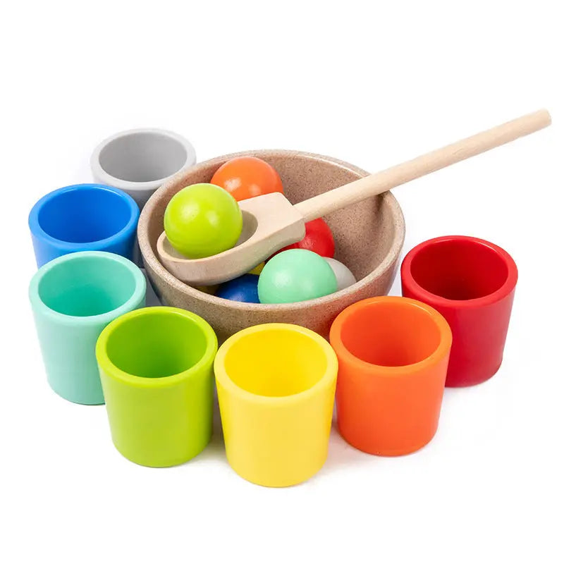 Montessori Sorting and Colour Recognition Wooden Set My Store
