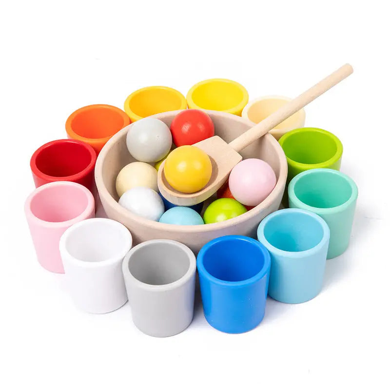 Montessori Sorting and Colour Recognition Wooden Set My Store