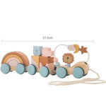 Montessori Wooden Train in Pastel Colours My Store