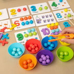 Montessori Maths Colours and Numbers Learning Set My Store