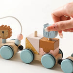 Montessori Wooden Train in Pastel Colours My Store