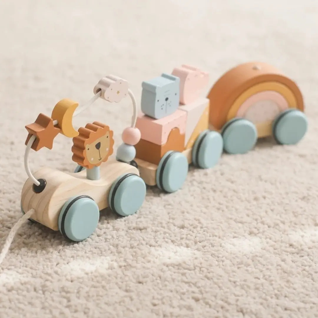 Montessori Wooden Train in Pastel Colours My Store