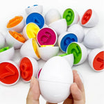Montessori Shapes and Colours Chicken My Store