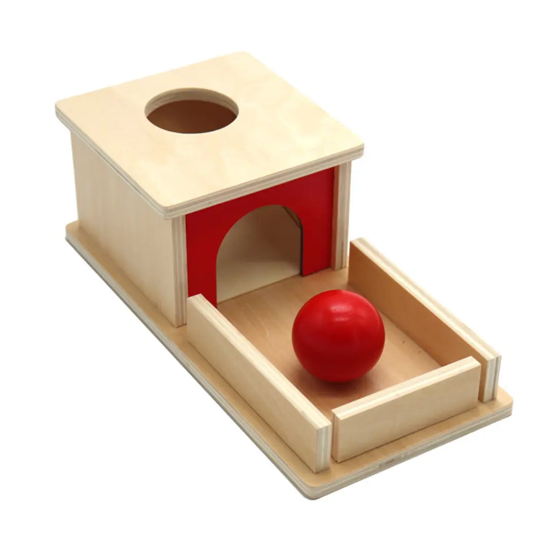 Montessori Wooden Box with Ball for Toddlers My Store