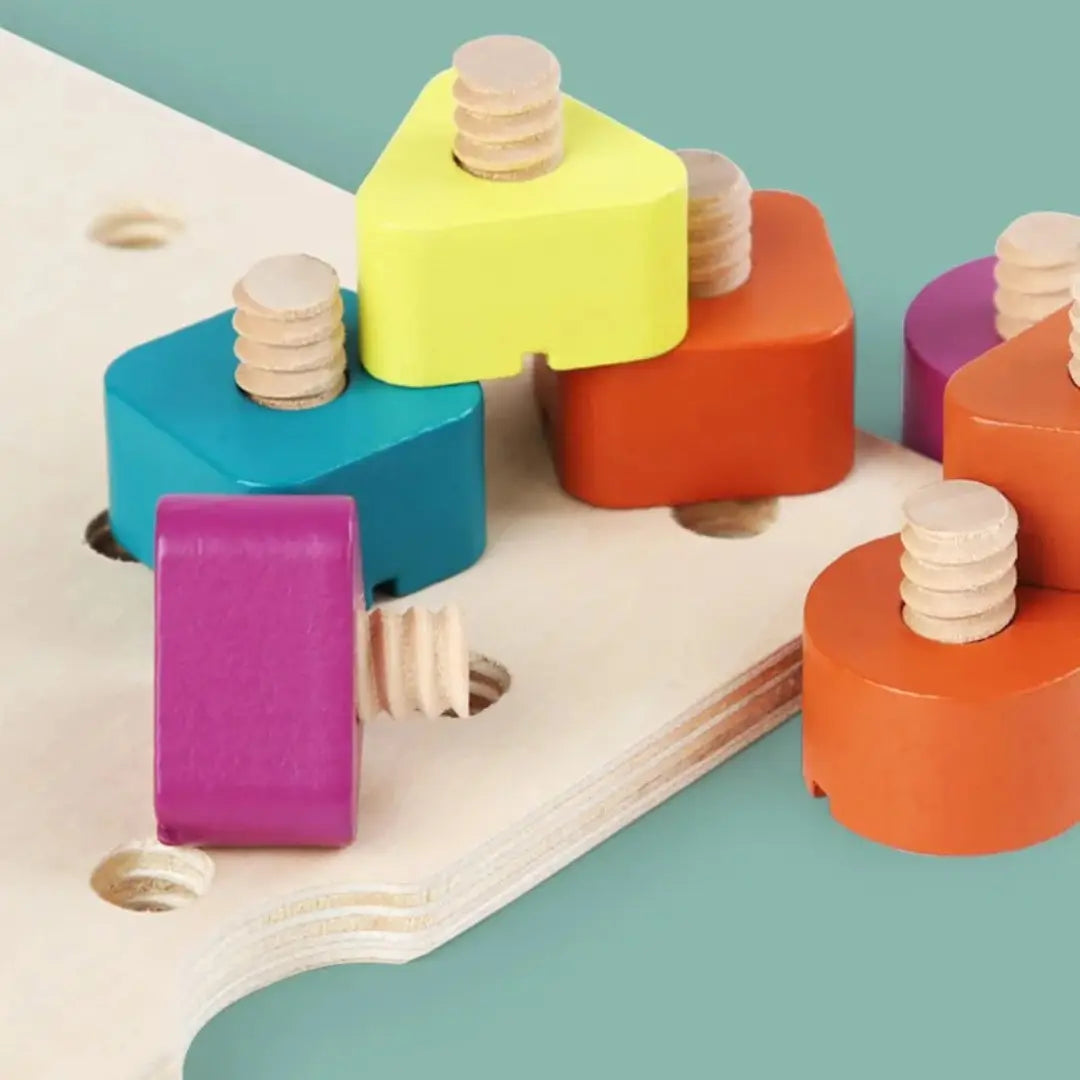 Montessori Screws, Wood, and Colour Toy My Store