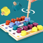 Montessori Screws, Wood, and Colour Toy My Store