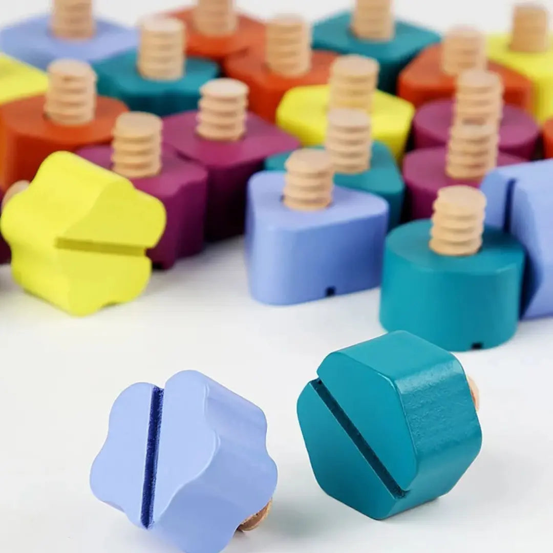 Montessori Screws, Wood, and Colour Toy My Store