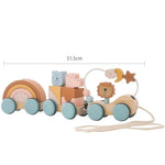 Montessori Wooden Train in Pastel Colours My Store