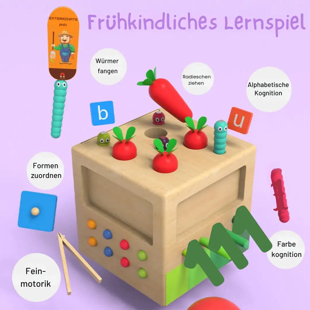 Montessori Learning and Developmental Wooden Toy My Store