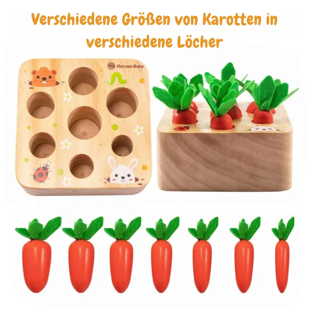Montessori Learning and Developmental Wooden Toy My Store
