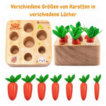Montessori Learning and Developmental Wooden Toy My Store