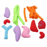 Anatomy Apron – Interactive Learning Toy for the Human Body My Store
