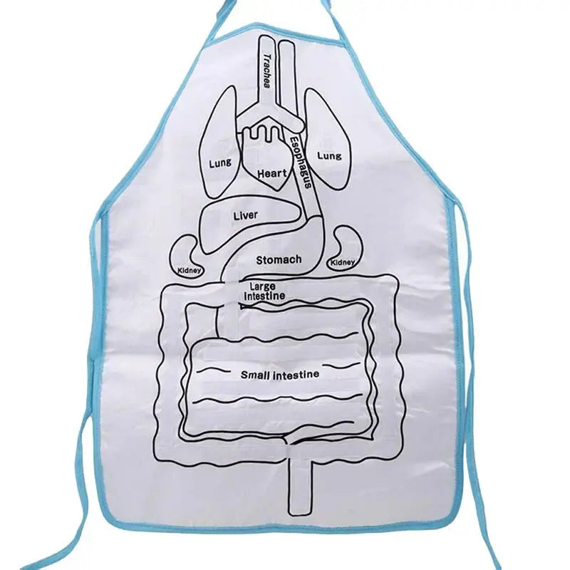 Anatomy Apron – Interactive Learning Toy for the Human Body My Store