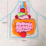 Anatomy Apron – Interactive Learning Toy for the Human Body My Store