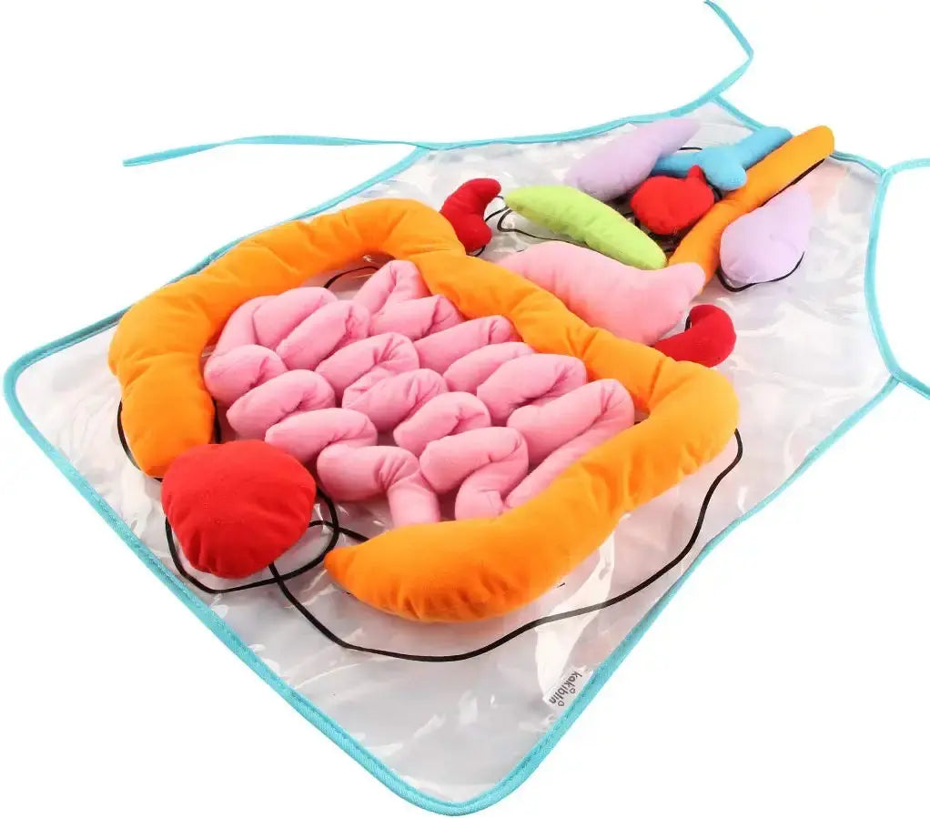 Anatomy Apron – Interactive Learning Toy for the Human Body My Store
