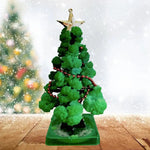 Mini Christmas Tree Growing Kit – Grow Your Own Tree! My Store