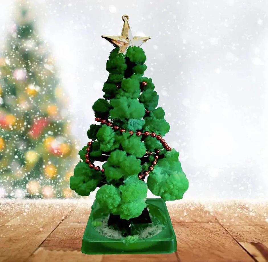 Mini Christmas Tree Growing Kit – Grow Your Own Tree! My Store