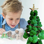 Mini Christmas Tree Growing Kit – Grow Your Own Tree! My Store