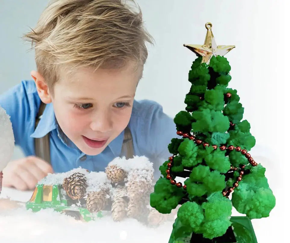 Mini Christmas Tree Growing Kit – Grow Your Own Tree! My Store