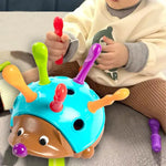 Spiky Learning Hedgehog My Store