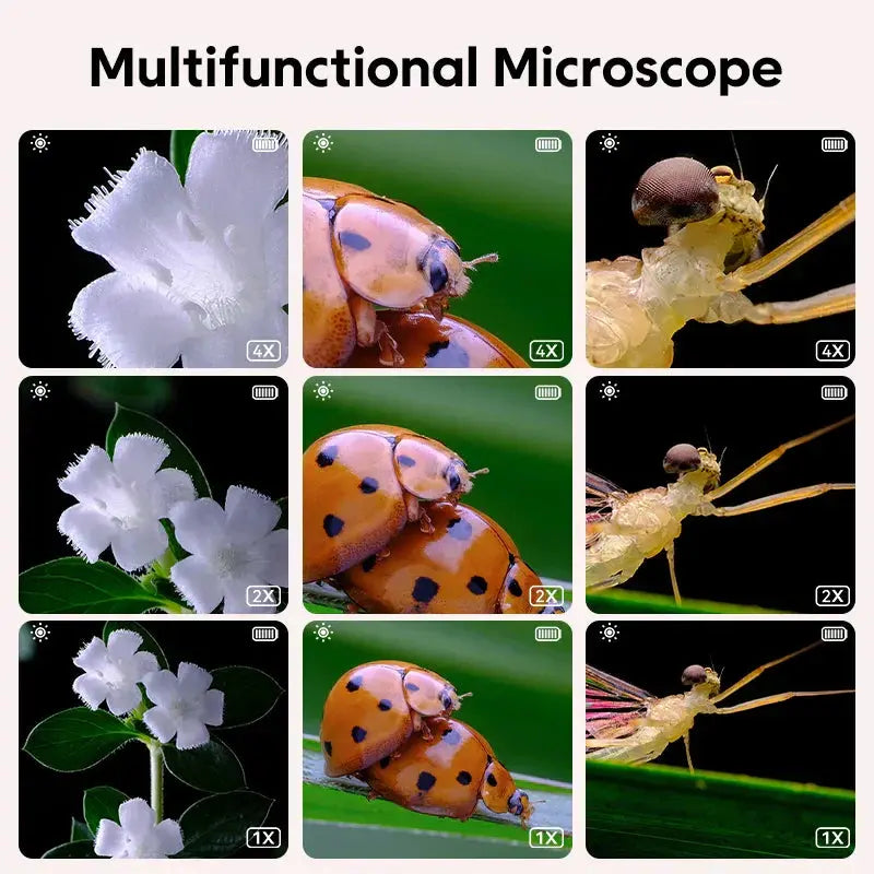 Junior Explorer Microscope My Store