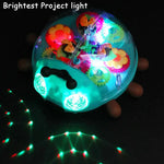 Interactive Crawling Toy with Music My Store