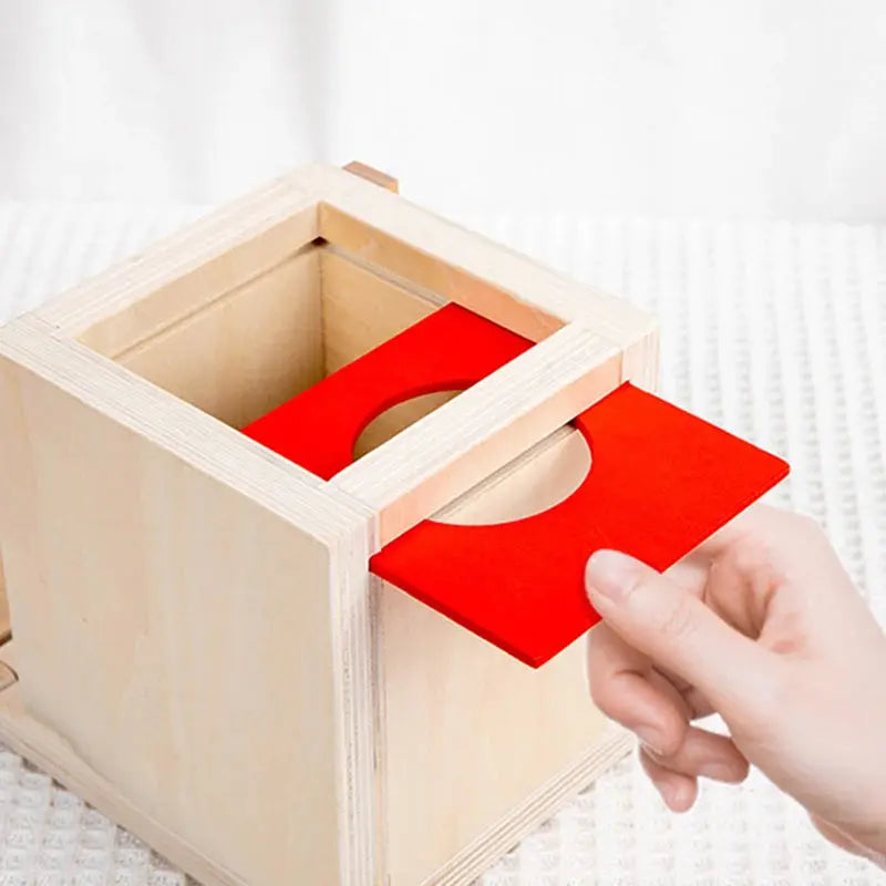 Montessori Wooden Play Box with Various Tasks and Solutions My Store