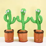 Talking Cactus My Store