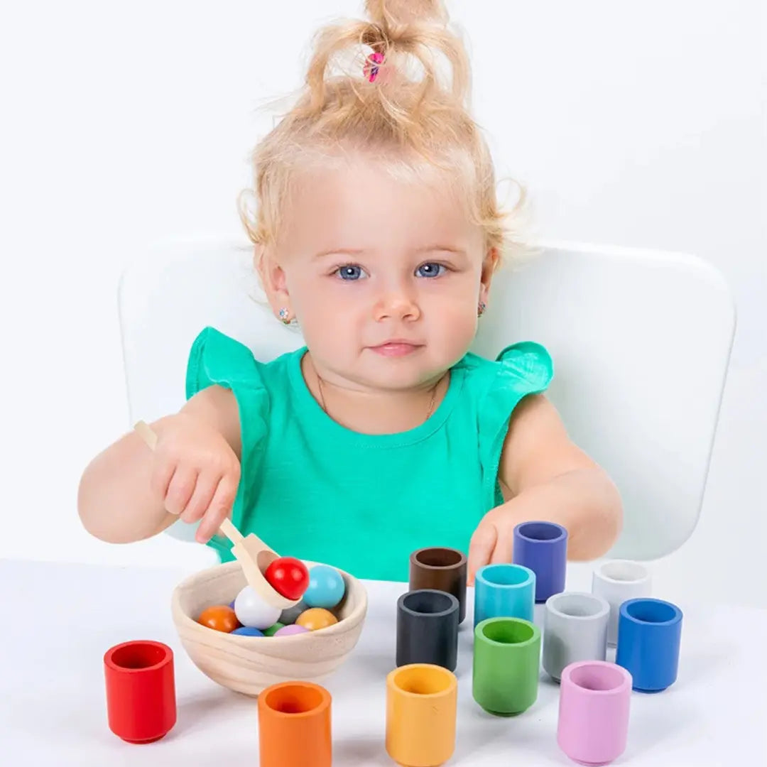 Montessori Sorting and Colour Recognition Wooden Set My Store
