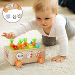 Montessori Learning and Development Wooden Toy My Store