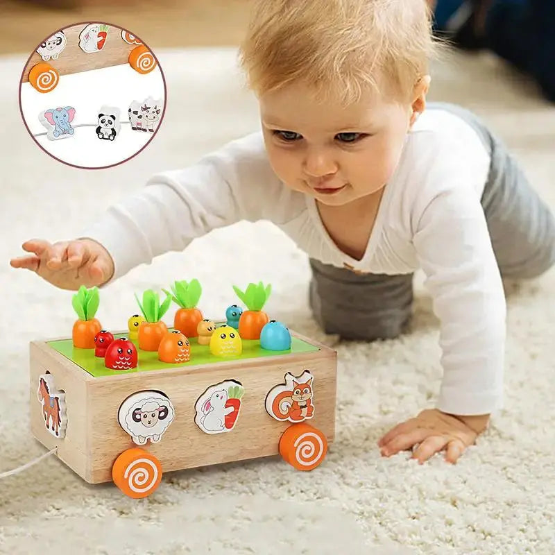 Montessori Learning and Developmental Wooden Toy My Store